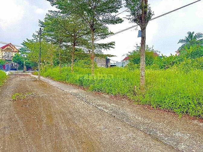 Đất sổ hồng riêng 130m2 ODT hẻm 6m BV Nhi Đồng 3 x Nguyễn Cửu Phú.