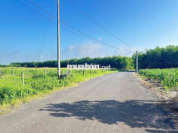 ĐẤT ẤP 1, XÃ XUYÊN MỘC, TP. HỒ CHÍ MINH ( Vũng Tàu cũ)