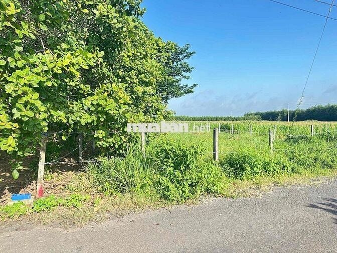 ĐẤT ẤP 1, XÃ XUYÊN MỘC, TP. HỒ CHÍ MINH ( Vũng Tàu cũ)