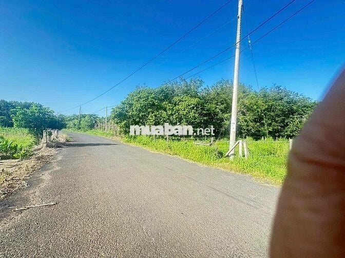 ĐẤT ẤP 1, XÃ XUYÊN MỘC, TP. HỒ CHÍ MINH ( Vũng Tàu cũ)