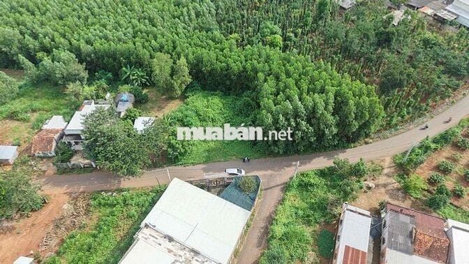 Ngộp bank cần bán gấp lô đất ở Xuyên Mộc cách QL55 2km di chuyển