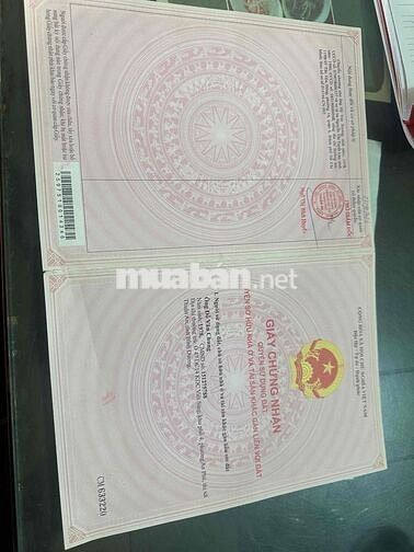 cần bán dãy nhà trọ kdc vietsing dt 160m2 full thổ cư