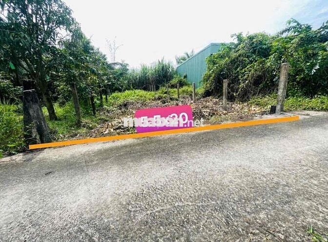 Bán 5.5x20  thồ cư giá rẽ SHR đường Đan xe tải  dân cư đông đúc