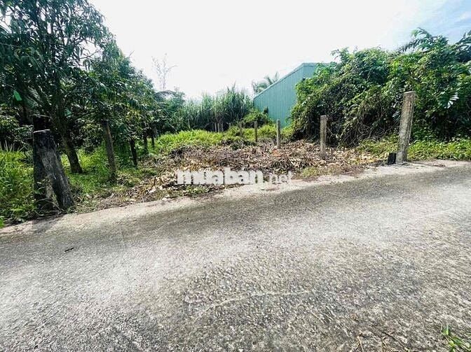 Bán 5.5x20  thồ cư giá rẽ SHR đường Đan xe tải  dân cư đông đúc