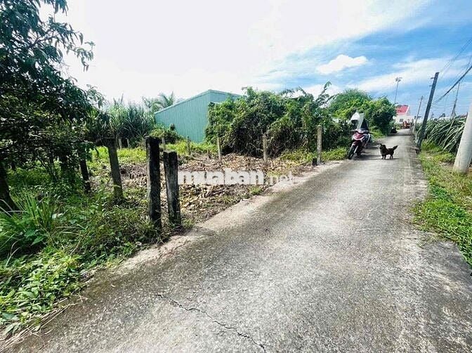 Bán 5.5x20  thồ cư giá rẽ SHR đường Đan xe tải  dân cư đông đúc