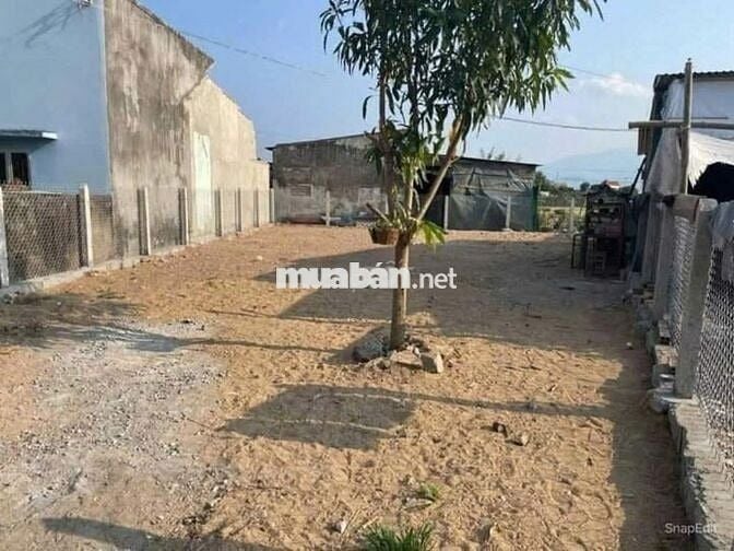 Chính chủ bán lô đất thổ cư 100%–175m²– đường cây trôm mỹ khánh Củ Chi