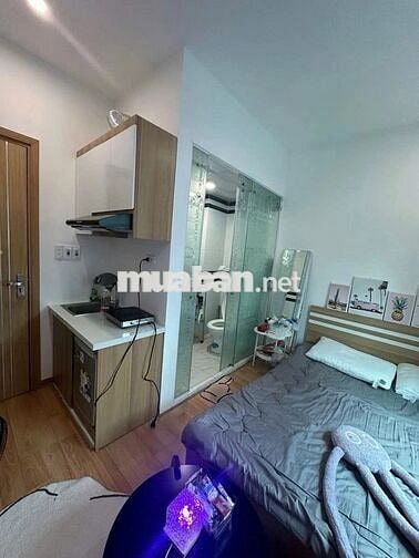 CCMN 11 Phòng, Dòng Tiền 480 Triệu/Năm,Gần Vin Nguyễn Trãi,Ngõ Rộng 3m