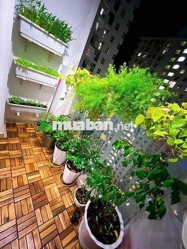 cho thuê chung cư Diamond riverside võ văn kiệt