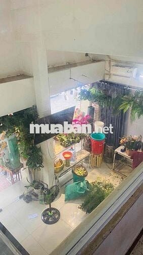 Nhà Mặt Tiền Ngang 6m Nguyễn Đình Chiểu Khúc 2 Chiều, Quận 3