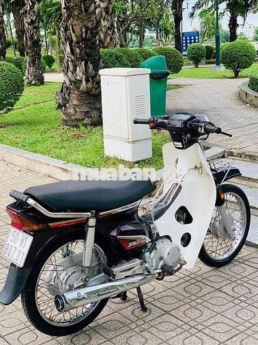 super dream 2O1O biển tp