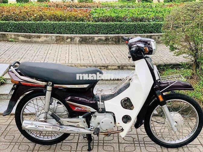 super dream 2O1O biển tp