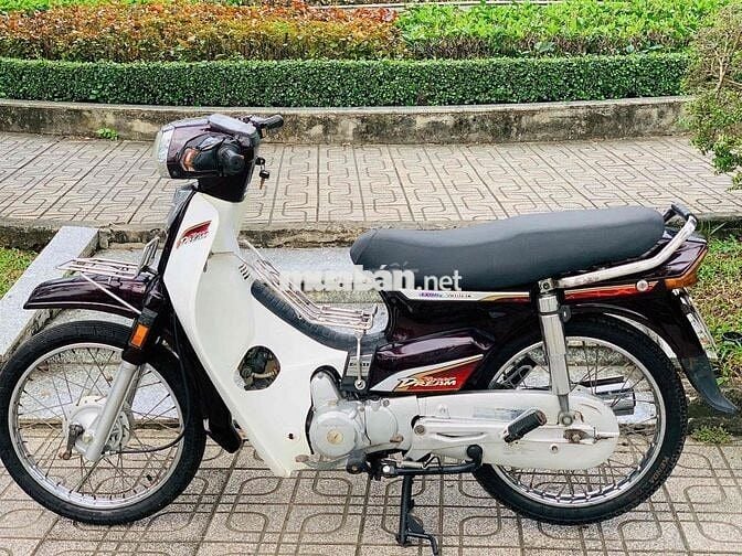 super dream 2O1O biển tp