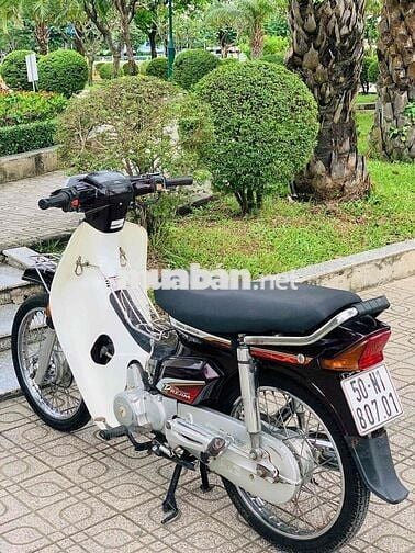 super dream 2O1O biển tp