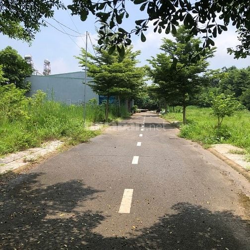 Bán đất giá rẻ 117.9m² Sông Trầu, Trảng Bom Đường 6m ô tô, sổ riêng