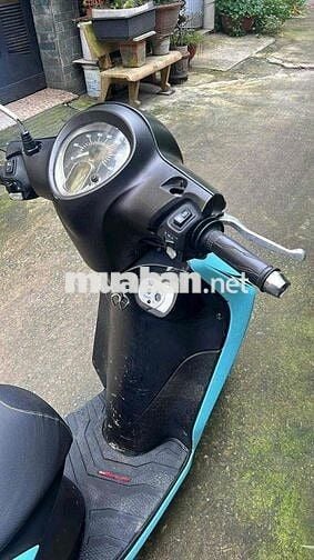 Xe nhà ít chạy cần ra đi gấp