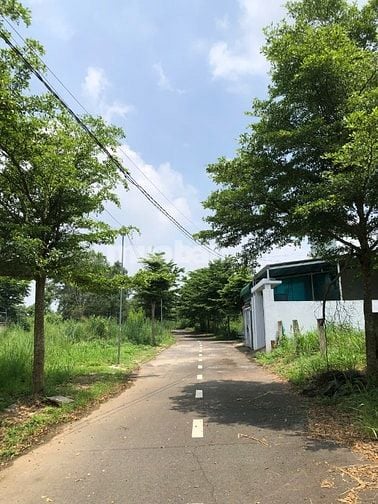 Bán đất giá rẻ 117.9m² Sông Trầu, Trảng Bom Đường 6m ô tô, sổ riêng