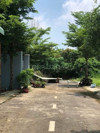 Bán đất giá rẻ 117.9m² Sông Trầu, Trảng Bom Đường 6m ô tô, sổ riêng