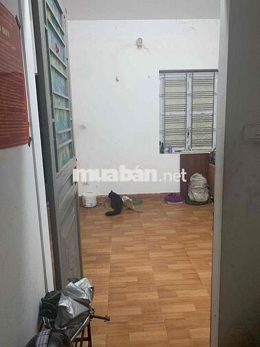 Tìm bạn nữ ở ghép( phòng mình nuôi mèo ạ)