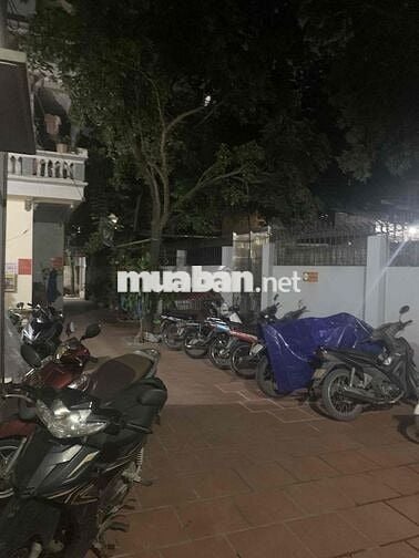 Tìm bạn nữ ở ghép( phòng mình nuôi mèo ạ)