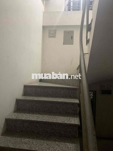 Tìm bạn nữ ở ghép( phòng mình nuôi mèo ạ)