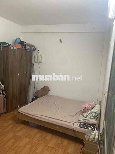 Tìm bạn nữ ở ghép( phòng mình nuôi mèo ạ)