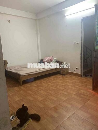 Tìm bạn nữ ở ghép( phòng mình nuôi mèo ạ)