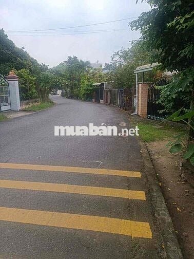 Nhà Cấp 4 Cũ Mặt Tiền Nhựa Gần Uỷ Ban Phường Chánh Hiệp