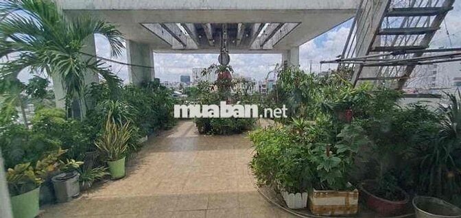 Nhà mặt tiền vip 4 lầu An Dương Vương q6 (6,5m x 20m) hợp kd mua bán