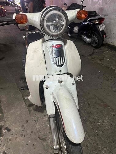 Cub 50cc 2020 đèn led. Bản đặc biệt. cavet đầy đủ