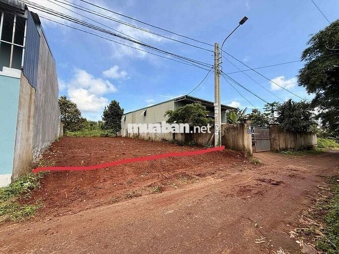 🌿 ĐẤT ĐẸP TÂN AN – ĐƯỜNG B5 MẬU THÂN 📍 Cách vành đai 14-26 chỉ 60m!