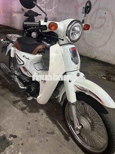 Cub 50cc 2020 đèn led. Bản đặc biệt. cavet đầy đủ