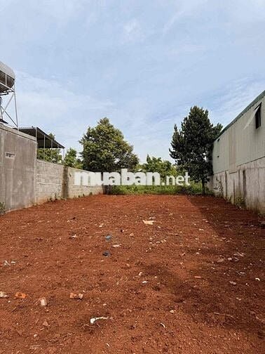 🌿 ĐẤT ĐẸP TÂN AN – ĐƯỜNG B5 MẬU THÂN 📍 Cách vành đai 14-26 chỉ 60m!