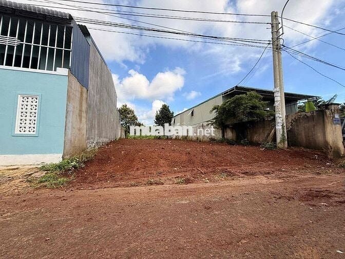 🌿 ĐẤT ĐẸP TÂN AN – ĐƯỜNG B5 MẬU THÂN 📍 Cách vành đai 14-26 chỉ 60m!