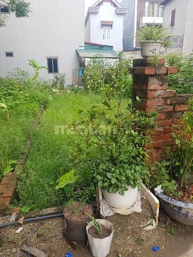 BÁN GẤP 76.3M²- THƯỢNG THỤY- HOÀI ĐỨC- CAM KẾT GIÁ HẤP DẪN NHẤT KV