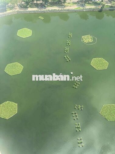 Cho thuê căn hộ Hoàng Anh Gia Lai Lakeview 3 phòng ngủ 110m2