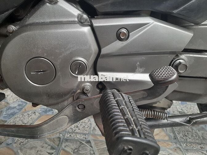 Tarus nguyên bản zin