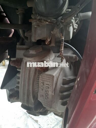 Tarus nguyên bản zin