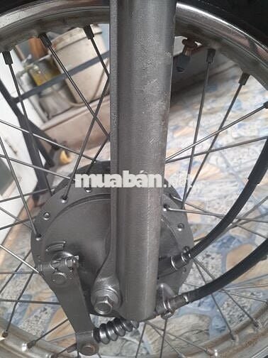 Tarus nguyên bản zin