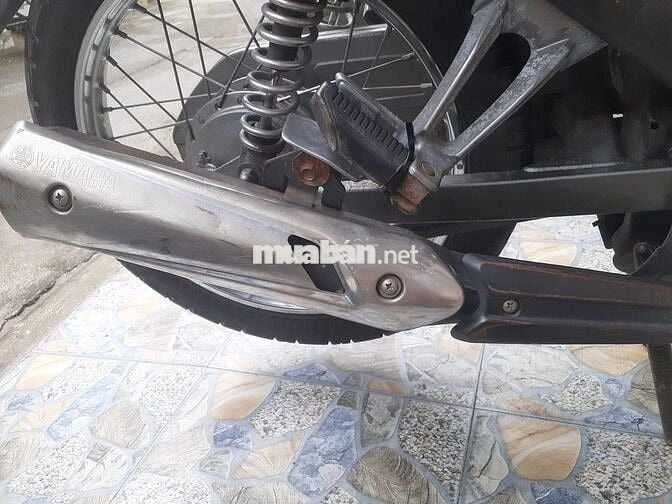 Tarus nguyên bản zin