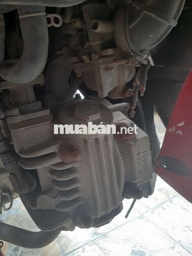 Tarus nguyên bản zin