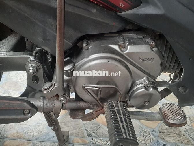 Tarus nguyên bản zin