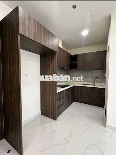 Cho thuê nhanh căn hộ cao cấp Diamond Centery - Celadon City . Ở liền