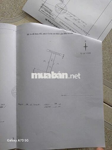 Nhà bảo Lộc khu TDC Phạm Ngọc Thạch Full thổ cư 120m2(5mx24m) chỉ 3 tỉ