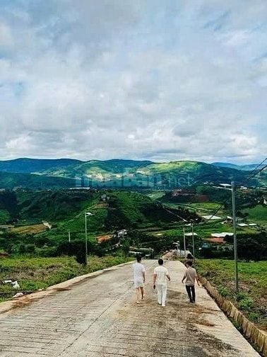 BÁN LÔ ĐẤT THỔ CƯ MÊ LINH – TÀ NUNG, ĐÀ LẠT – GIÁ CHỈ 599 TRIỆU