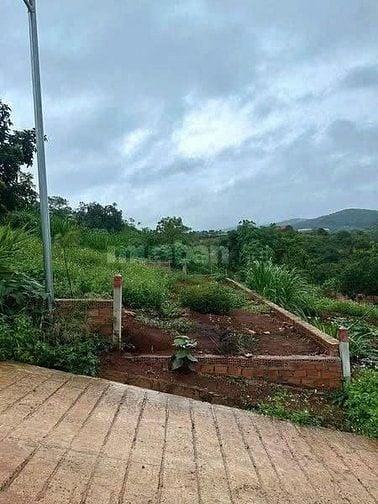 BÁN LÔ ĐẤT THỔ CƯ MÊ LINH – TÀ NUNG, ĐÀ LẠT – GIÁ CHỈ 599 TRIỆU