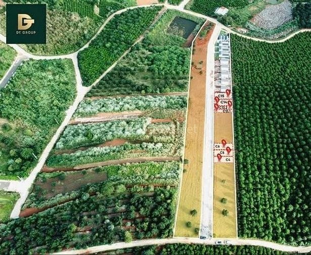 BÁN LÔ ĐẤT THỔ CƯ MÊ LINH – TÀ NUNG, ĐÀ LẠT – GIÁ CHỈ 599 TRIỆU