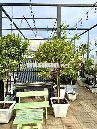 🪷🪷Mặt tiền KD 6 TẦNG sát LÊ VĂN QUỚI - Đường số 8 ,BÌNH TRỊ ĐÔNG,BT