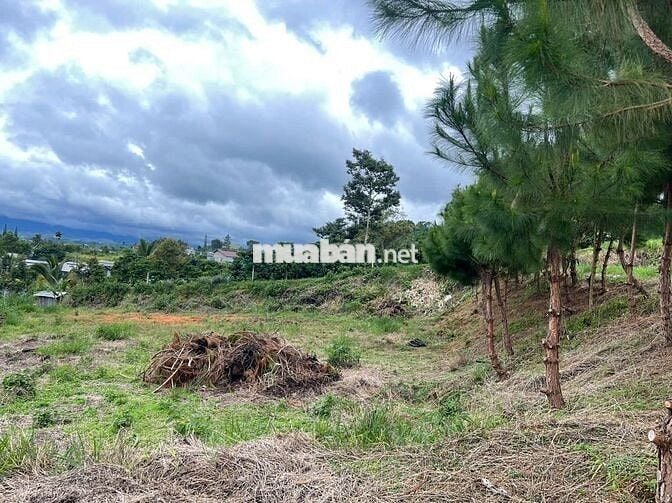 Đất Bảo Lộc - 2214m2 (20x100m) Sẵn 118m thổ cư - view núi Sà Pung