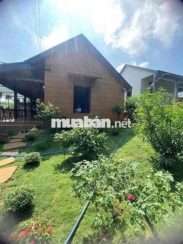 Bán gấp  Nhà vườn 200m² đẹp như resort, P.2 Bảo Lộc giá 490triệu