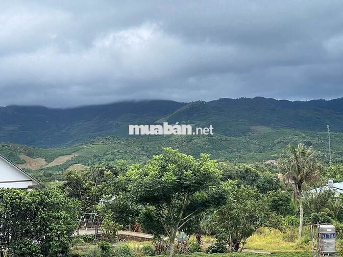 Đất Bảo Lộc - 2214m2 (20x100m) Sẵn 118m thổ cư - view núi Sà Pung